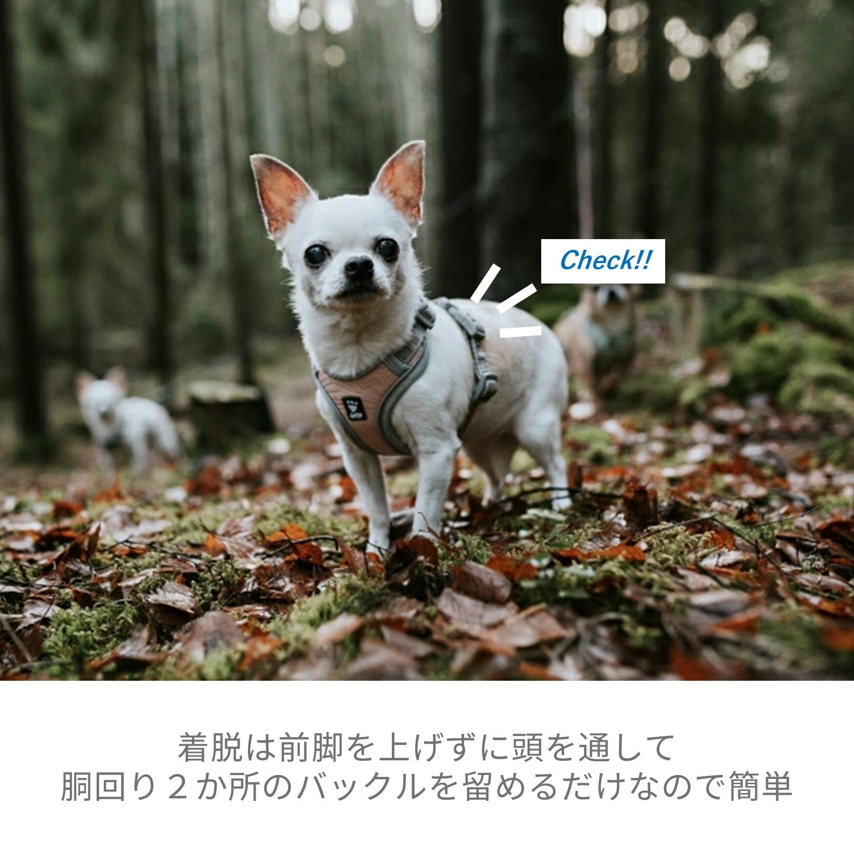 Hurtta】フルッタ・ベンチャーハーネス ノープルタイプ【60-80サイズ