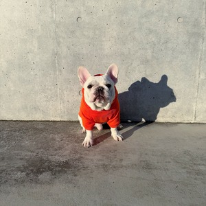 EXOTIC UNIVERSITY パーカー おでん（オレンジ）