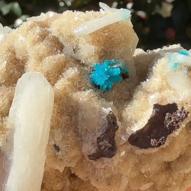 【超美石】カバンサイト（スティルバイト・ヒューランダイト　共生）　原石　1221