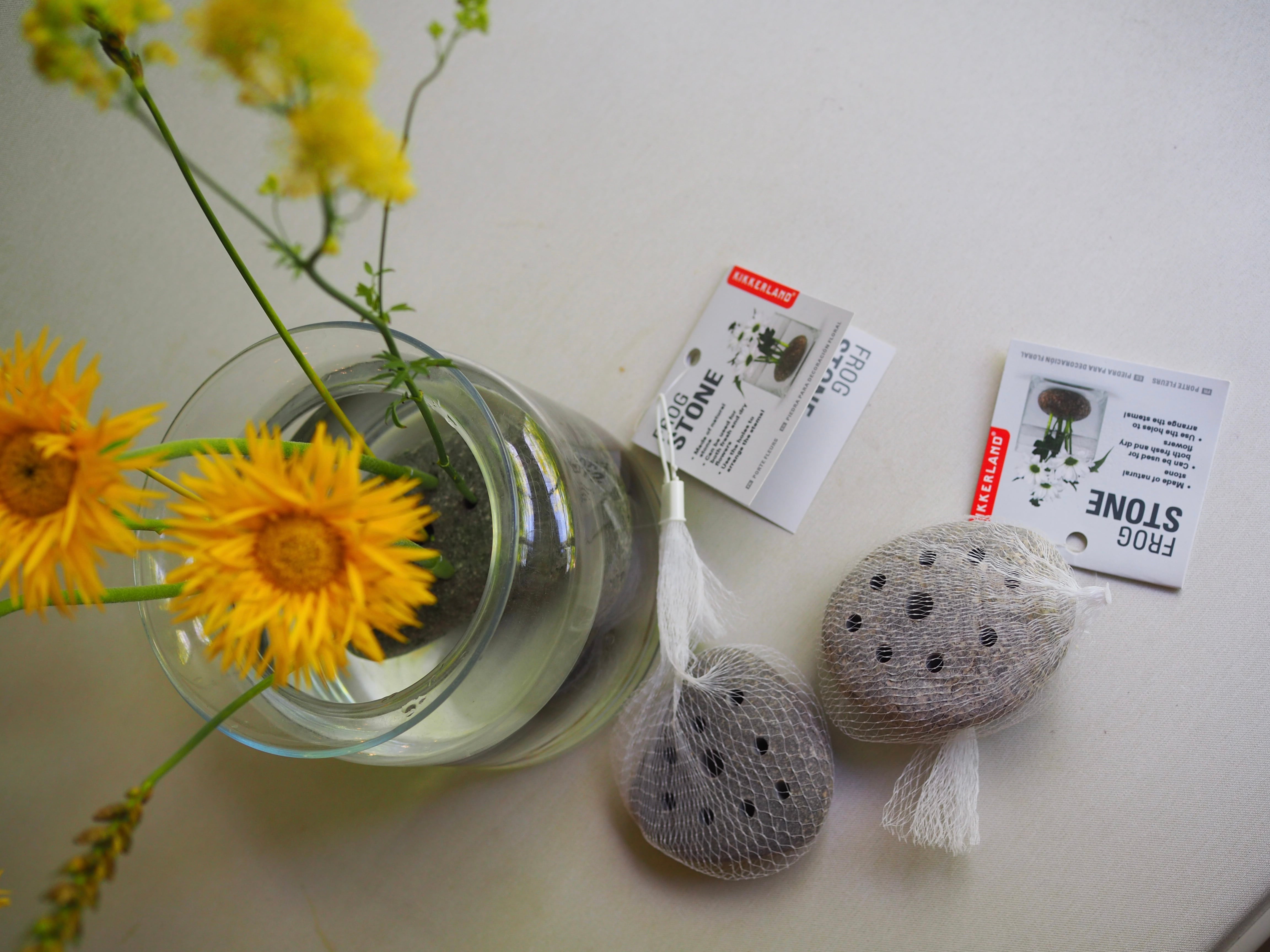 FROG STONE(石の剣山) | 花屋ぼたん