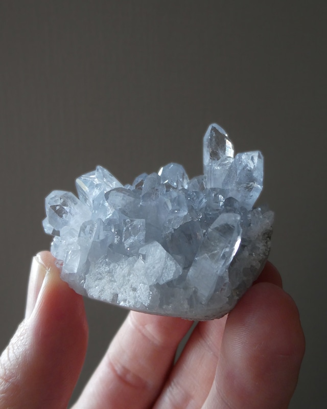 Celestite セレスタイト ⭓ 青空の鈴 ⭔ Next Level Collection