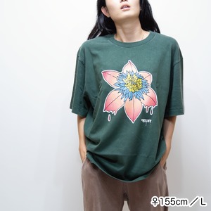 WANT clematis TEE [フェードグリーン]