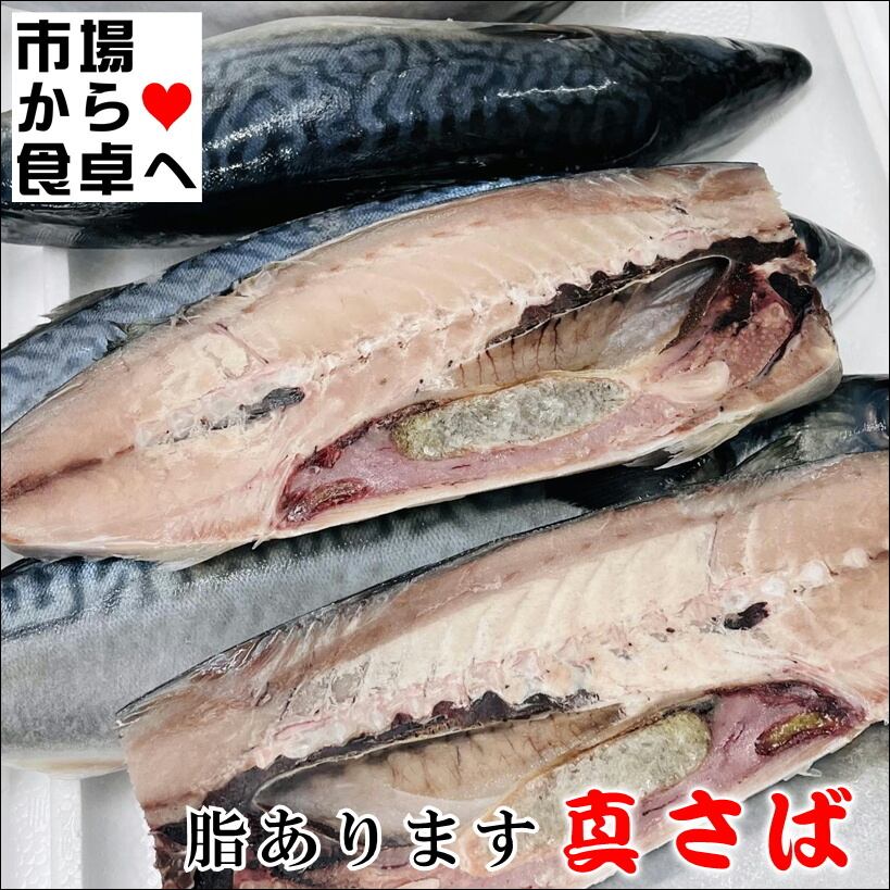 お鯖さま専用 楽天市場】【個包装で便利！】特大 極上トロサバ 塩サバ フィレ 10枚