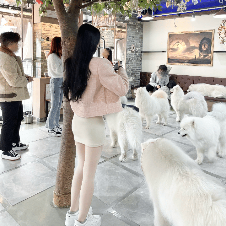 ☆大人気商品☆ 探偵ちゃん リアルミンクピンタックショートジャケット