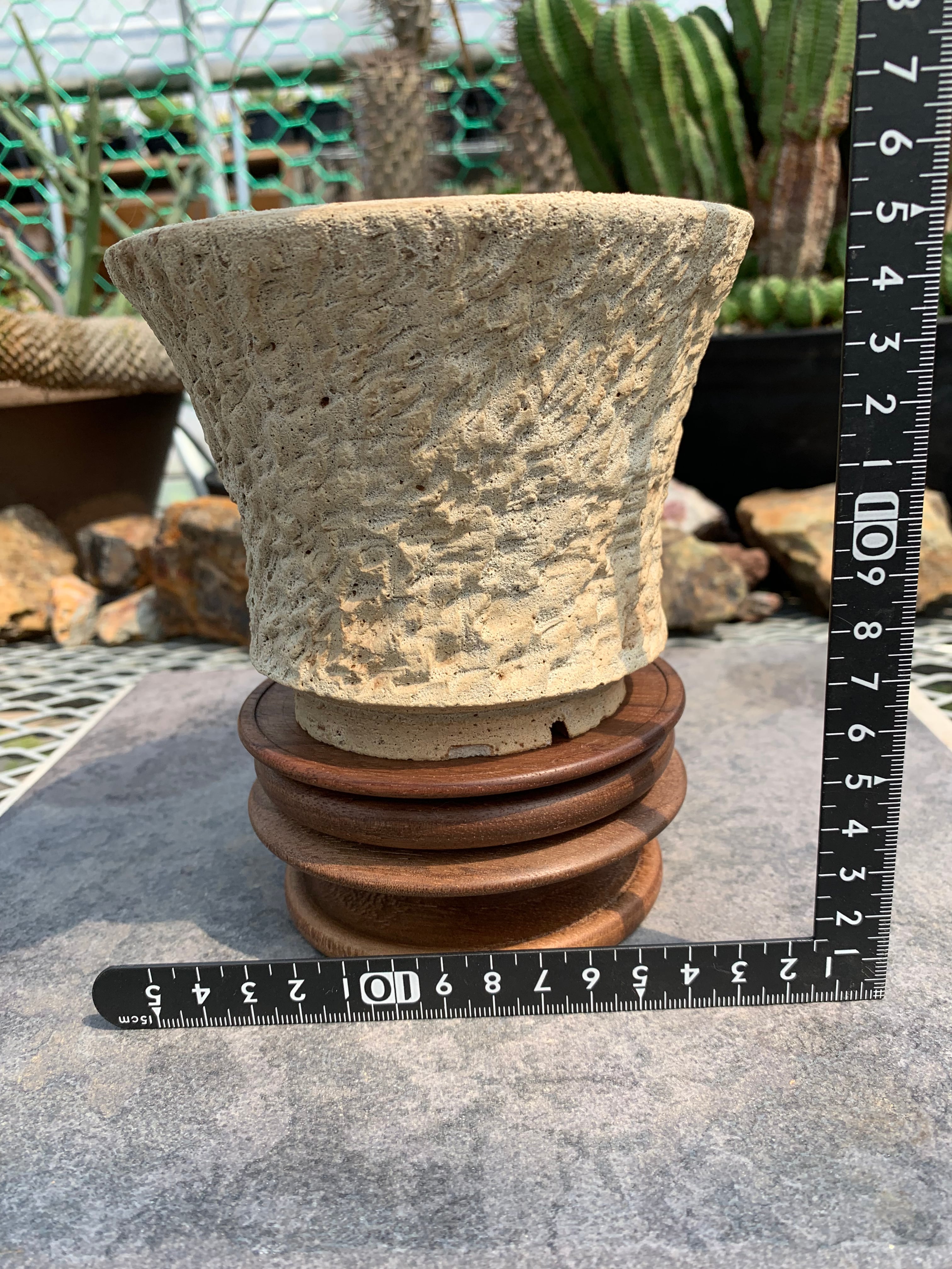 植物鉢 | CACTUS330