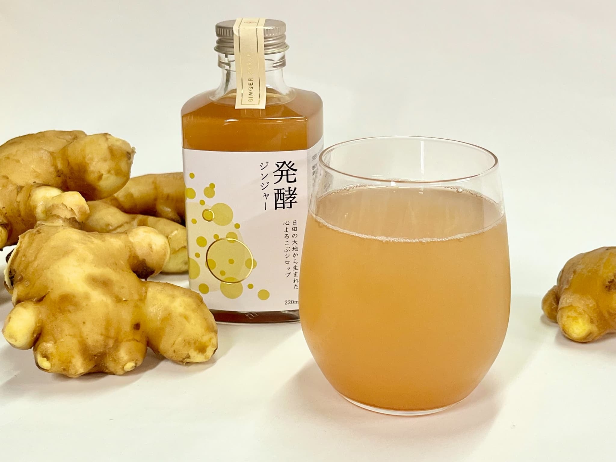 ジンジャー 発酵ジンジャー | 株式会社インパクト