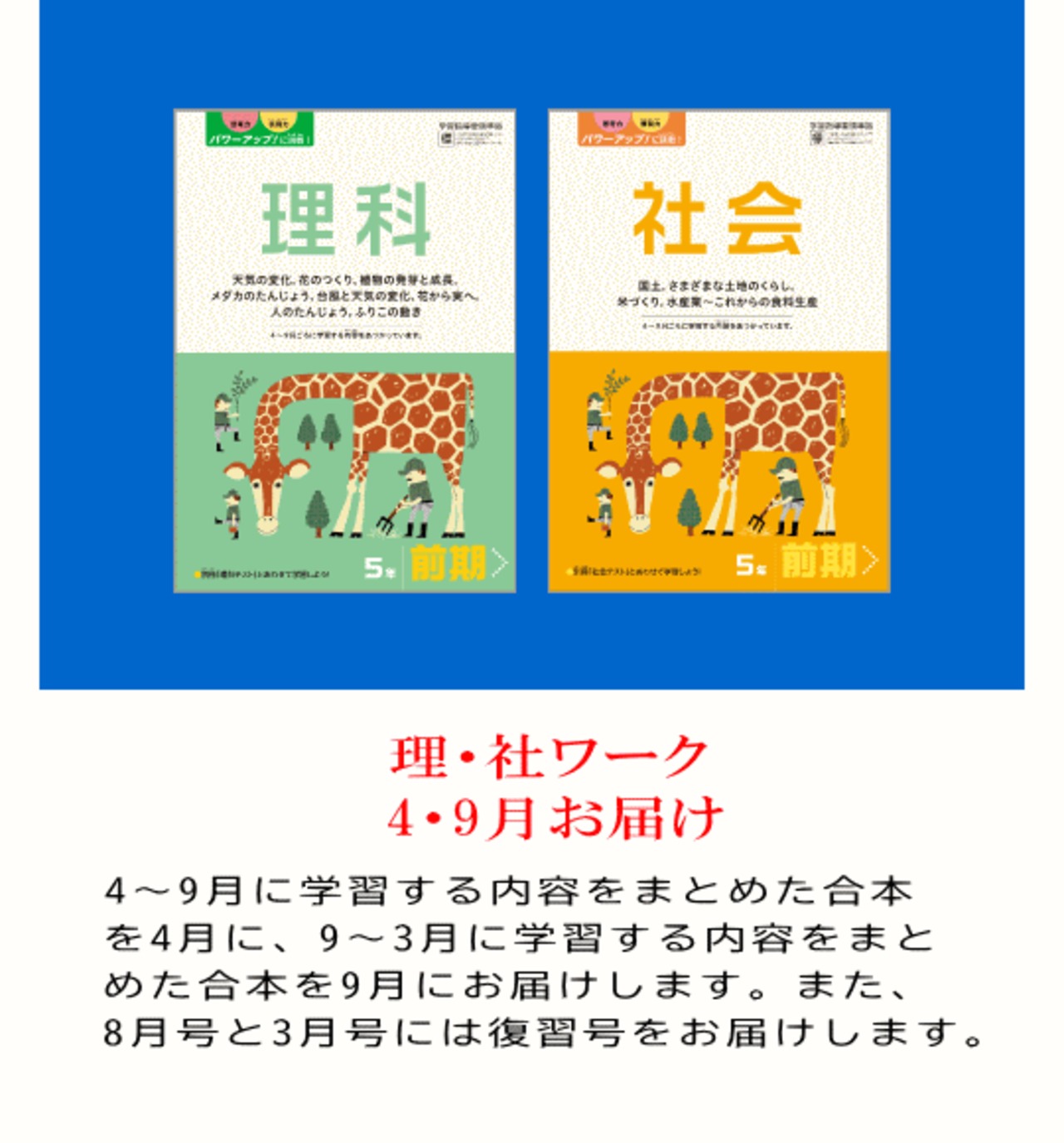 小学ポピー5年☆5月号～（12カ月一括前払い） | 月刊ポピー 