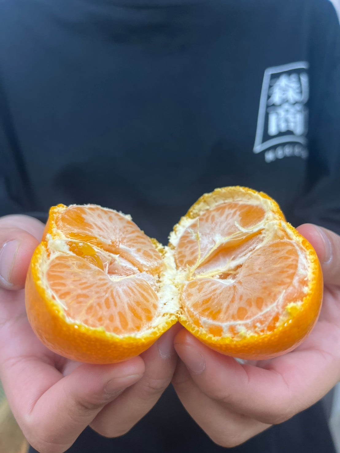 高知の旬！山北みかん5㎏ Mサイズ | morioshoten
