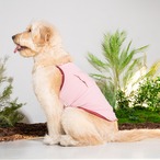 【PUPPYGALLERY公式】Outside Plus Cooling Tank Top　4XL/5XL