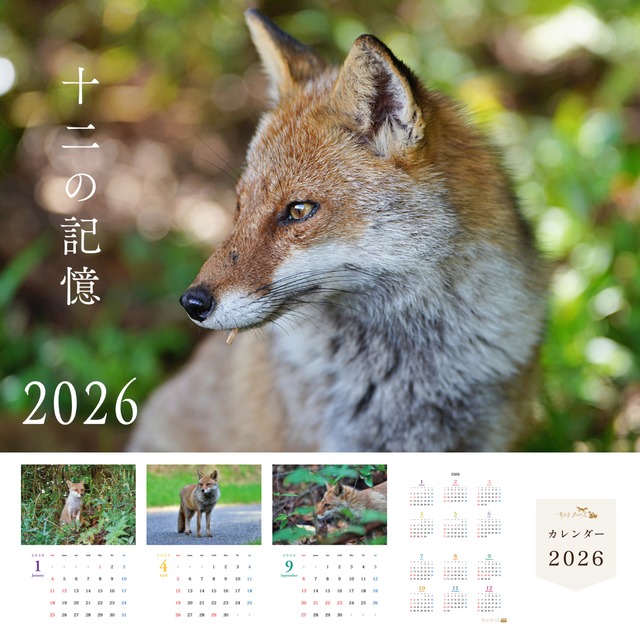 フランクリンミント社蝶を追うキツネ フランクリンミント社蝶を追うキツネ