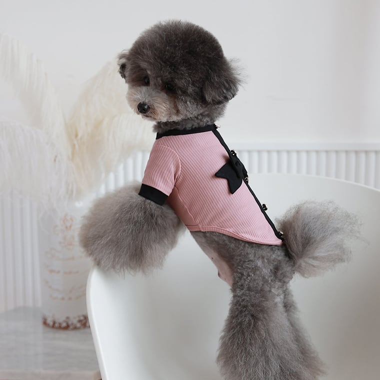 onz ribbon knit t-shirt S ~ XL 4color / 犬服 ニット 可愛い 犬の服 Tシャツ 背中 リボン 重ね着 おしゃれ トップス お揃い ドッグウェア 無地 シンプル 韓国ワンコ服 b54