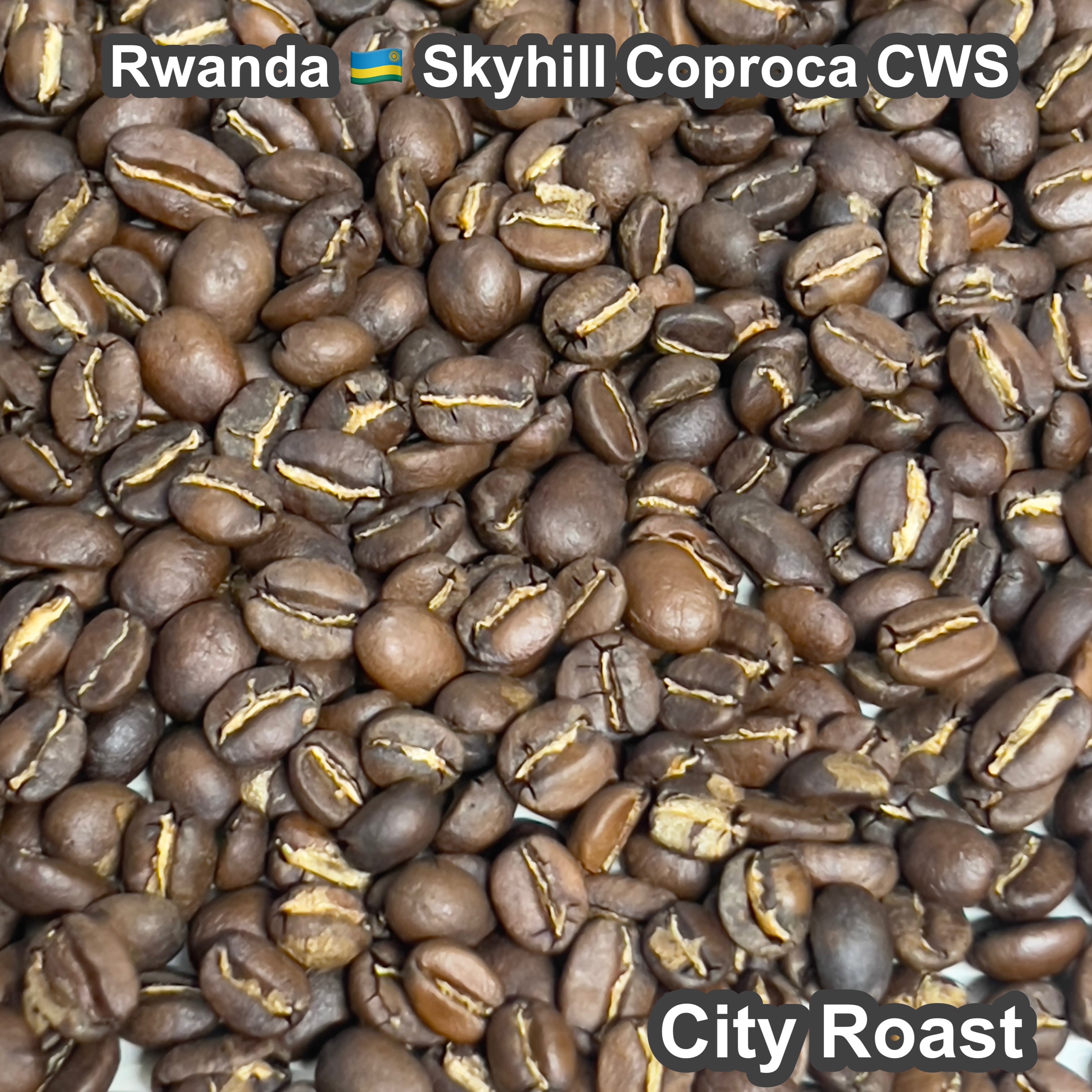 Rwanda Skyhill Coproca CWS（ルワンダ スカイヒル コプロカCWS）100g