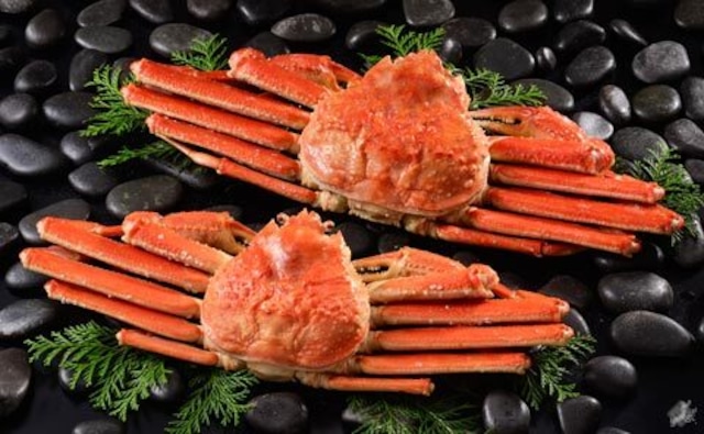 オオズワイガニ  1杯