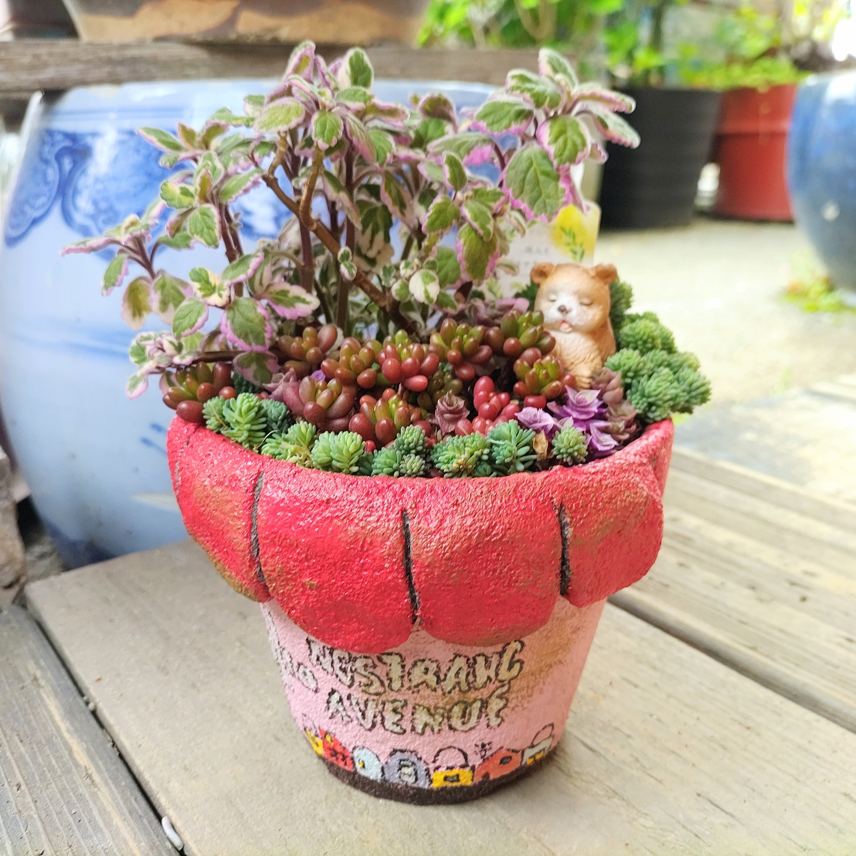 モルタル | RuPo 多肉植物専門店