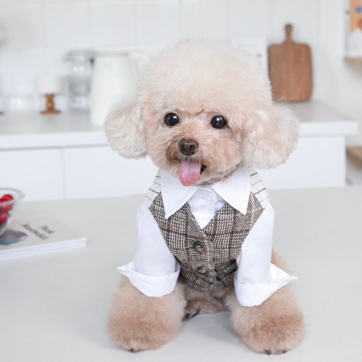 ブリティッシュスタイルベスト+シャツセットアップ(RE0044)