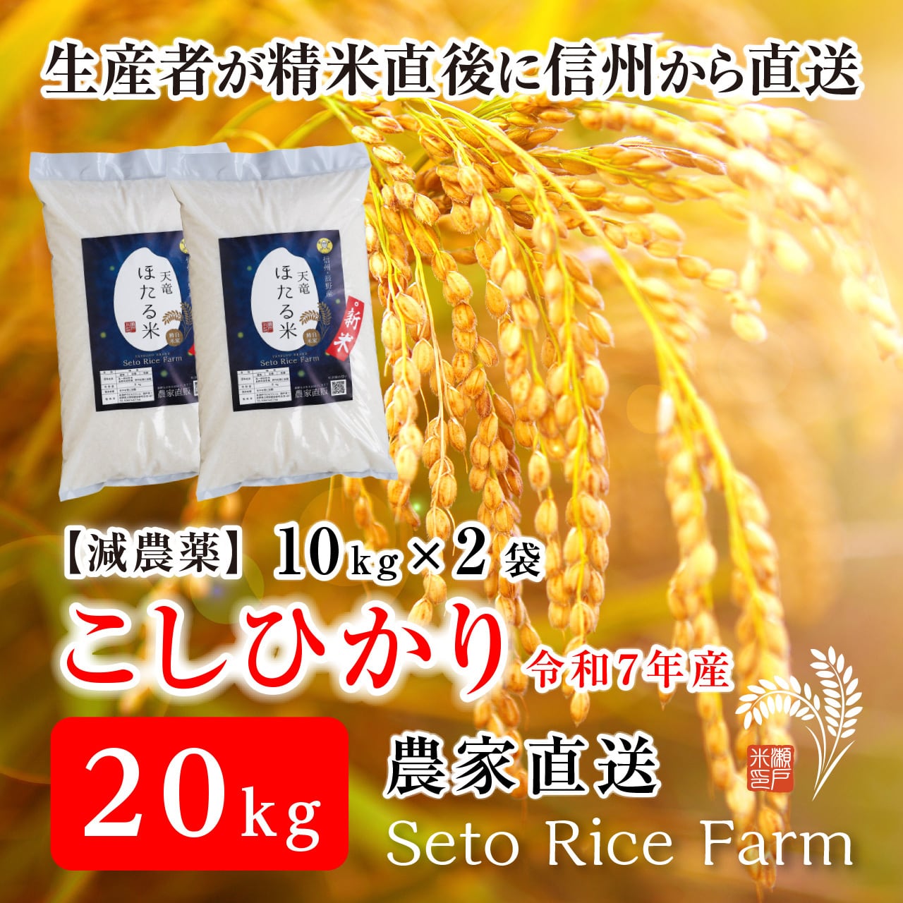 R7年度】［減農薬］こしひかり 20kg | 瀬戸ライスファーム 信州・辰野