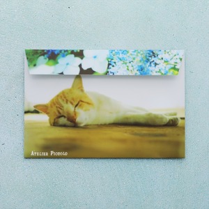 Piccoloオリジナル海街ぽち袋(横型）#003