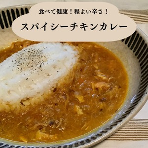 スパイシーチキンカレー