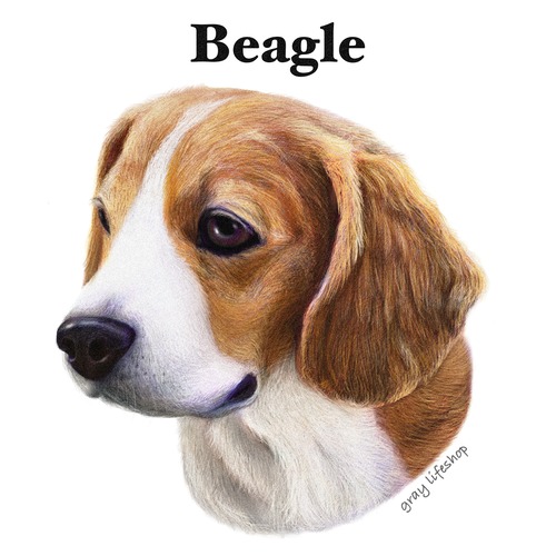 gray original Dog face &breed printed S/S TEE［Beagle(Face)］