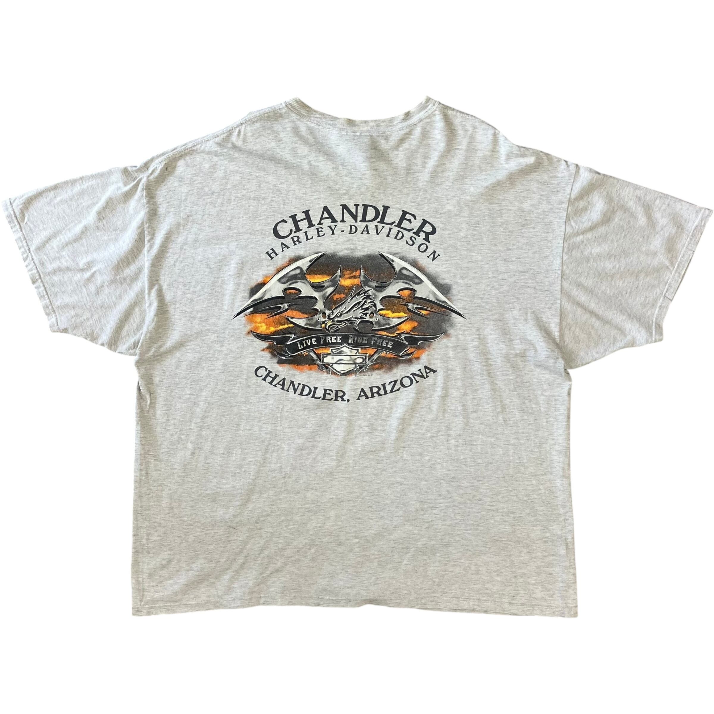 《XXXL》Harley-Davidson ハーレーダビッドソン 00s usa製 ポケットTee 両面プリント No.2085