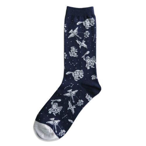 星座がたっぷり！ロマンティックで使える靴下♡garapago socks（天文学）