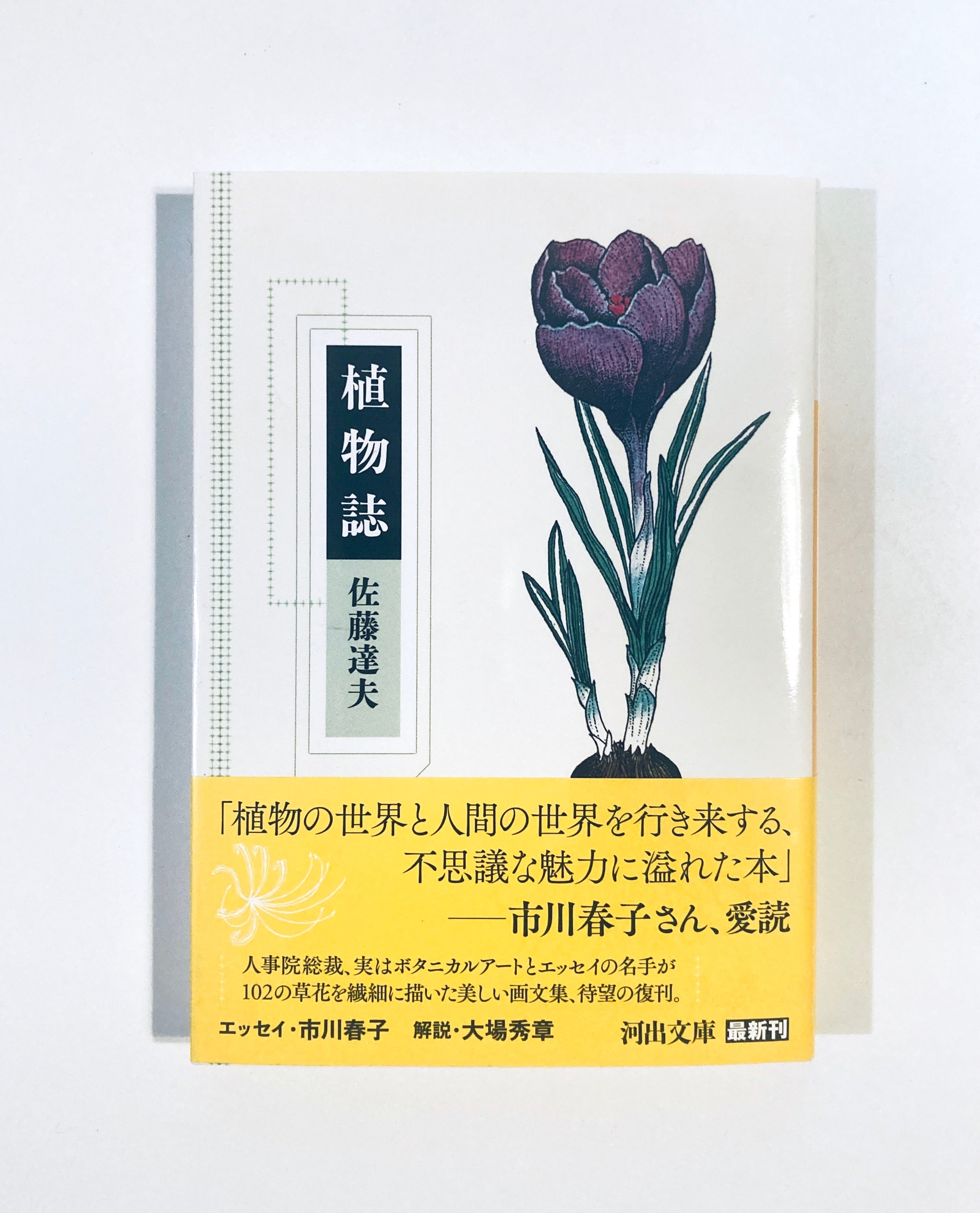 討議 『銀河鉄道の夜』とは何か」入沢康夫 天沢退二郎（青土社） | Pay ID