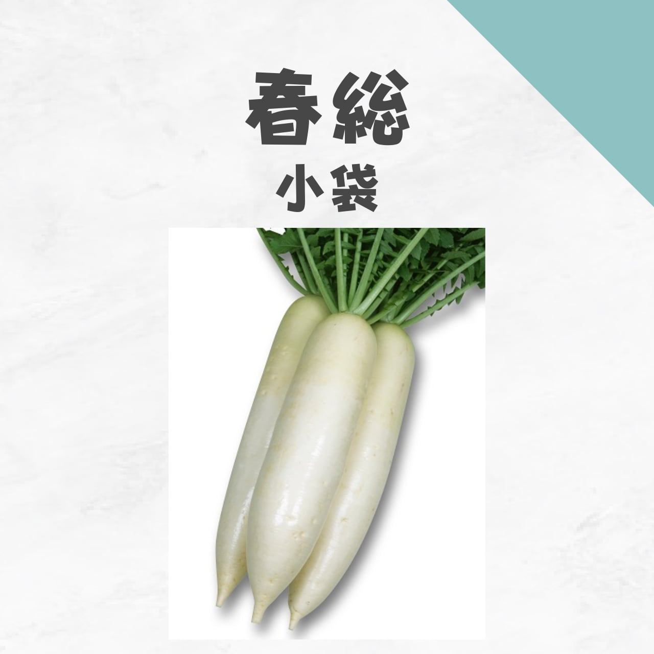 春総 ダイコン種子・小袋