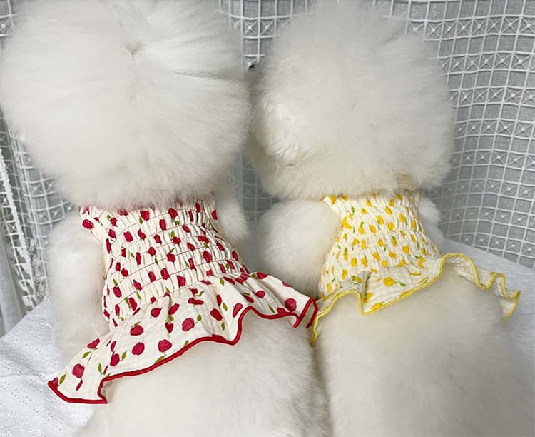 【SALE】 fruit crop onepiece XS ~ XL 3color  /  犬服 春夏 新作 お揃い ワンピース ドッグウェア 可愛い 犬の服 ドレス 猫