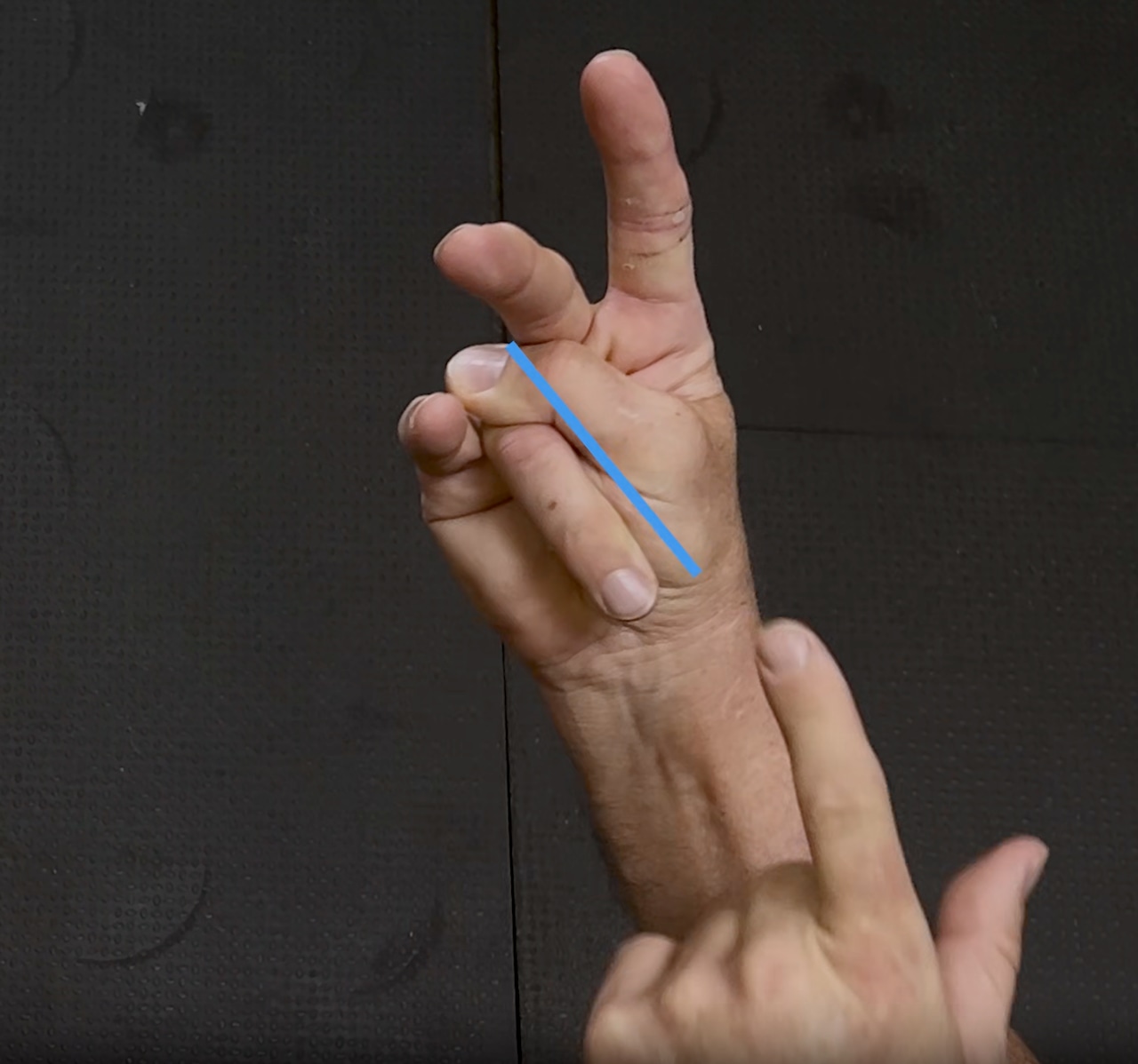 11/21【David Weck来日特別講習】FASCIAL FIST｜筋膜統合システム ― WINGS & SPRINGS ― ＠東京