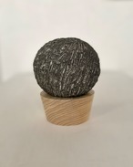 島田篤 SHIMADA Atsushi 'plants A' thumbnail 1