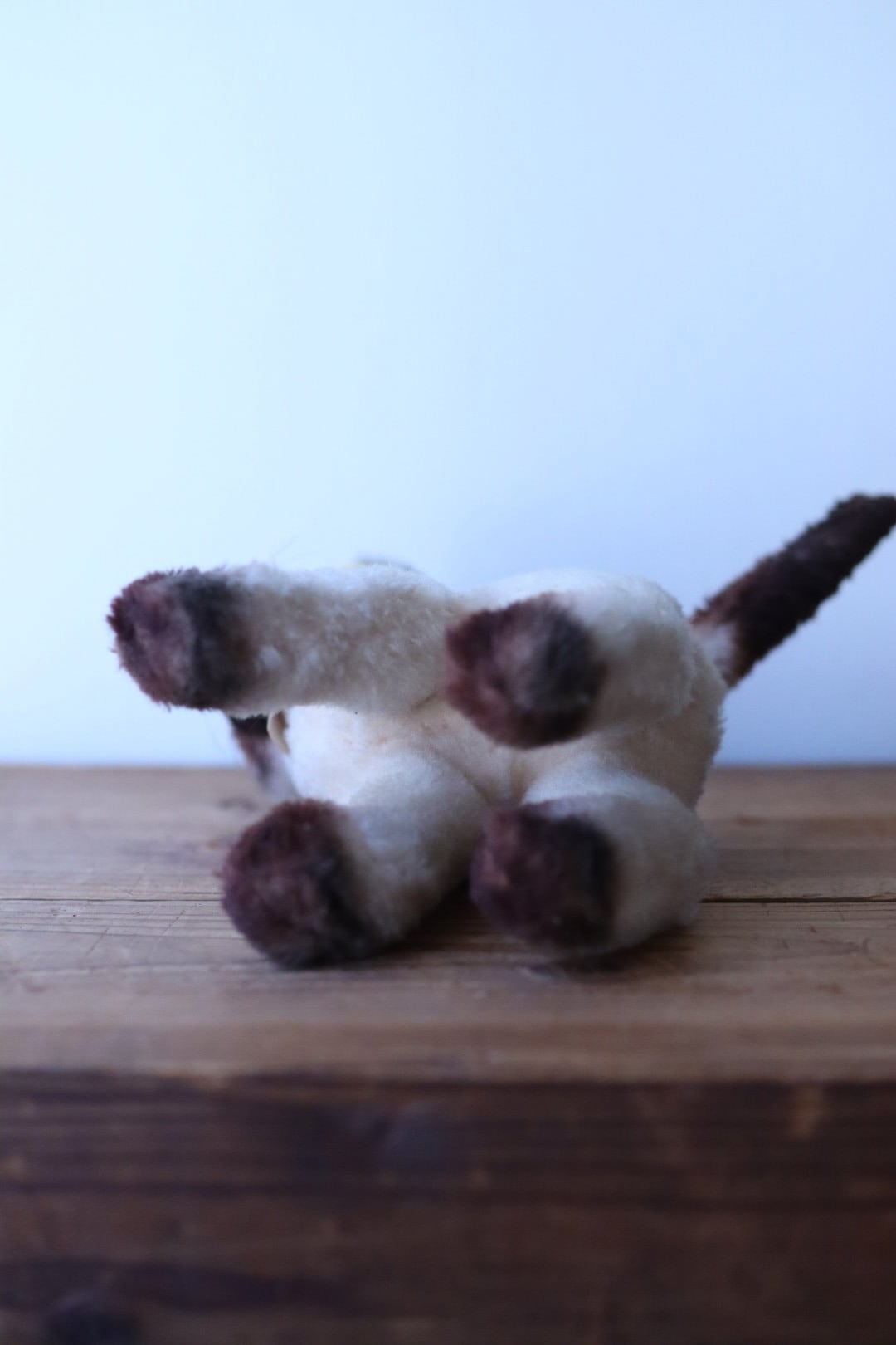 ヴィンテージ シュタイフ シャムネコ Steiff Cosy Siamy 22㎝