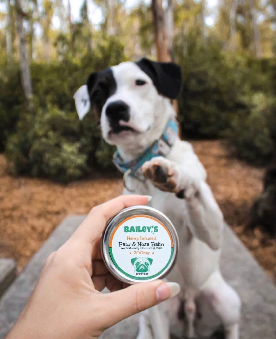 犬猫用肉球クリーム（CBD50mg/14g）- 無味無臭 - | baileyscbd