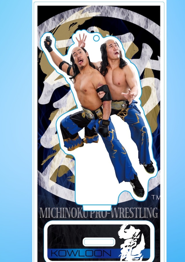 みちのくプロレスパンフレット46冊セット！！被りなし！ 若々し