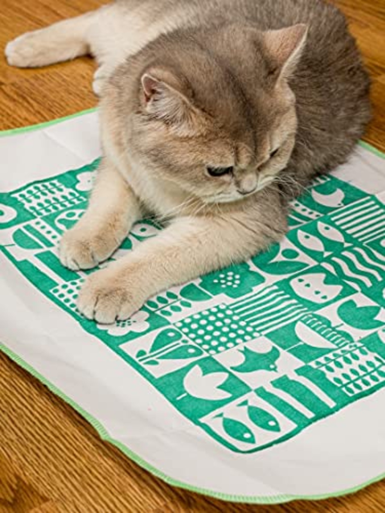 ねこモテ 猫用おもちゃ スリスリにゃ~シート 1枚