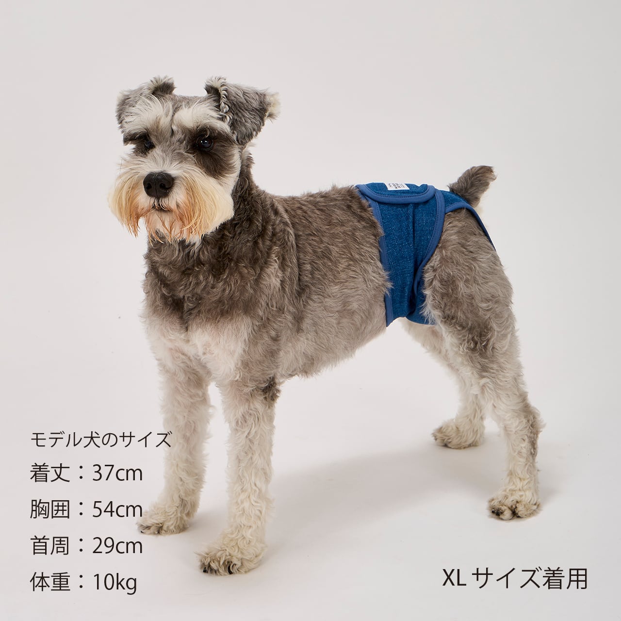 MANNER PANTS（S.M.L）マナーパンツ | MANDARINE BROTHERS マンダリン