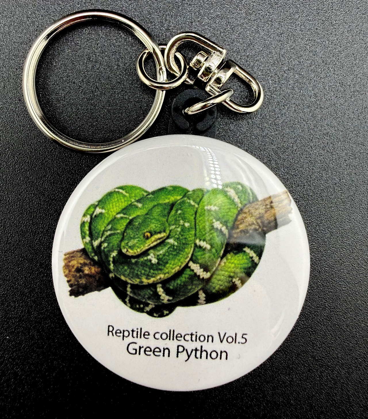 グリーンパイソン 缶バッチキーホルダー Reptile collection Vol.5 / Green Python