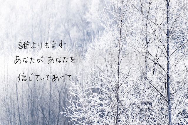 【ポストカード】誰よりもまずあなたがあなたを信じていてあげて【ふぉと言葉】