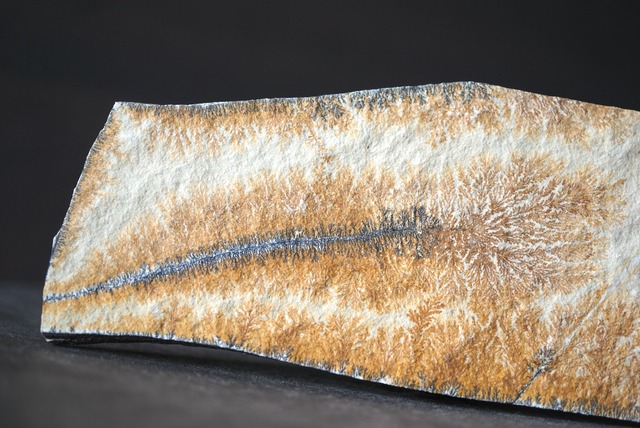 デンドライト 忍石 Dendritic limestone 1189