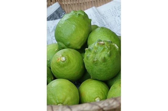 グリーンレモン(熊本県産)・1個
