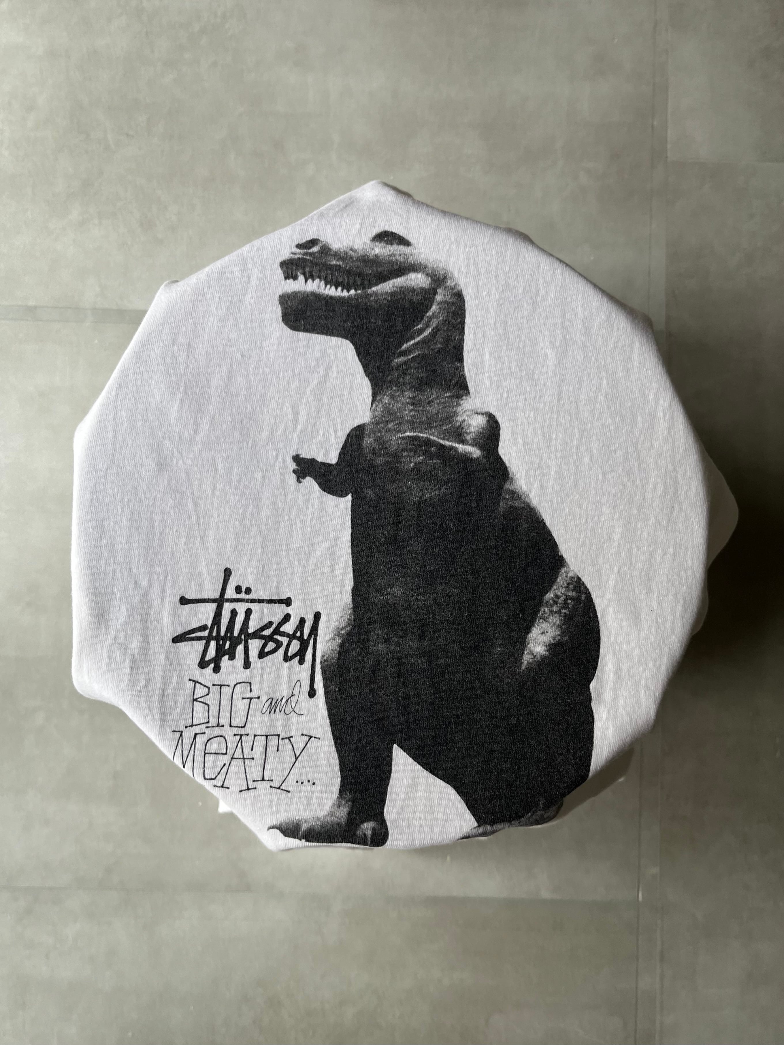 00s old stussy T-Rex Photo T-shirt | gerbera clothing store