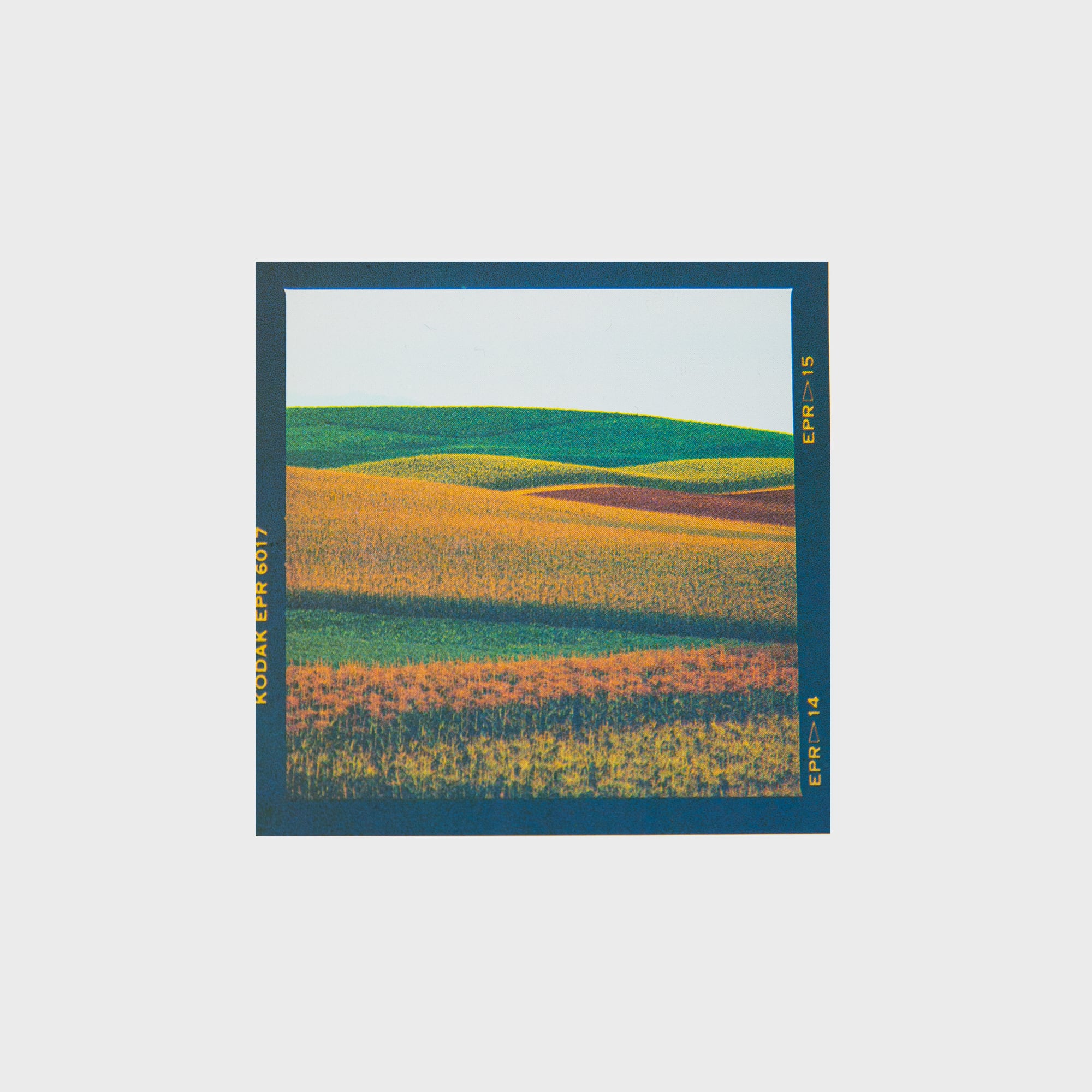 6×6フィルムステッカーA〈6枚セット〉 | 拓真館 TAKUSHINKAN