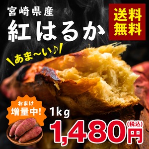 【送料無料&増量キャンペーン】さつまいも　紅はるか 1kg　宮崎県産　熟成サツマイモ　生芋
