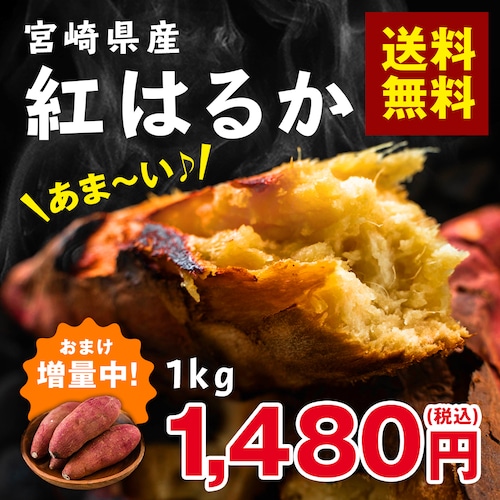 【送料無料&増量キャンペーン】さつまいも　紅はるか 1kg　宮崎県産　熟成サツマイモ　生芋