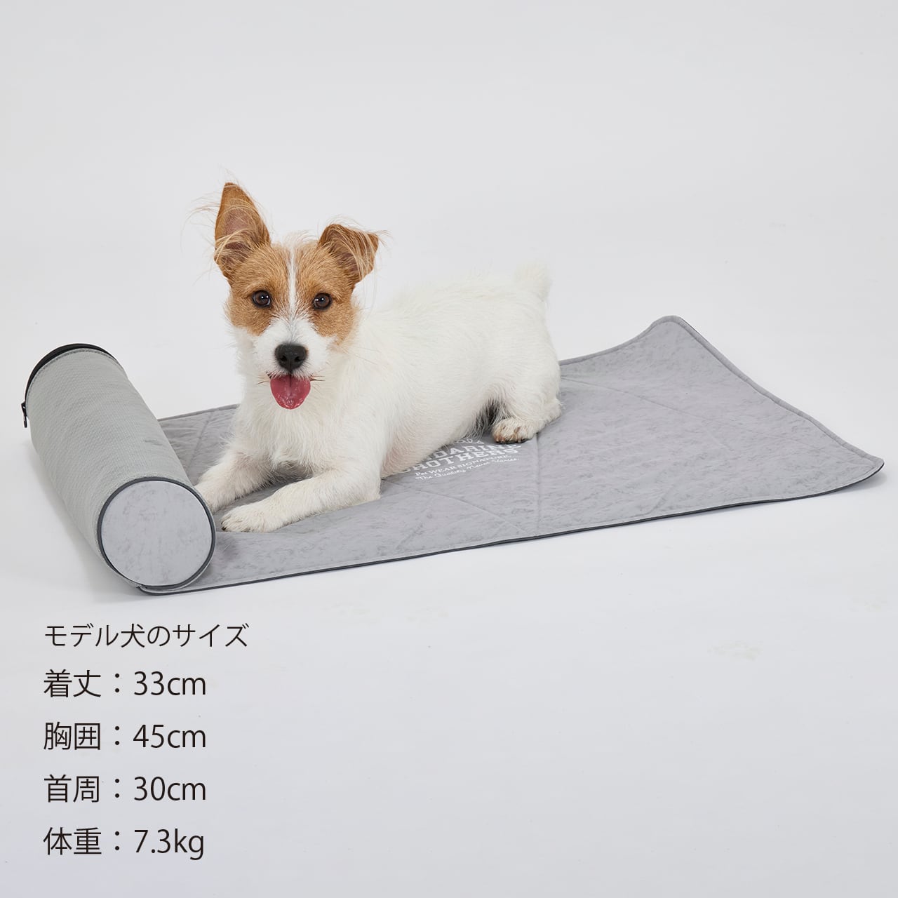 ICY COZY ROOM MAT アイシーコージールームマット | MANDARINE