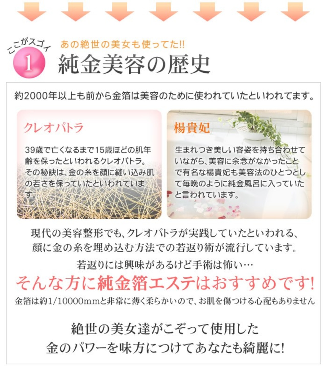 最高級・エステ用純金箔(24K)) ブックタイプ「54mm角/50枚」