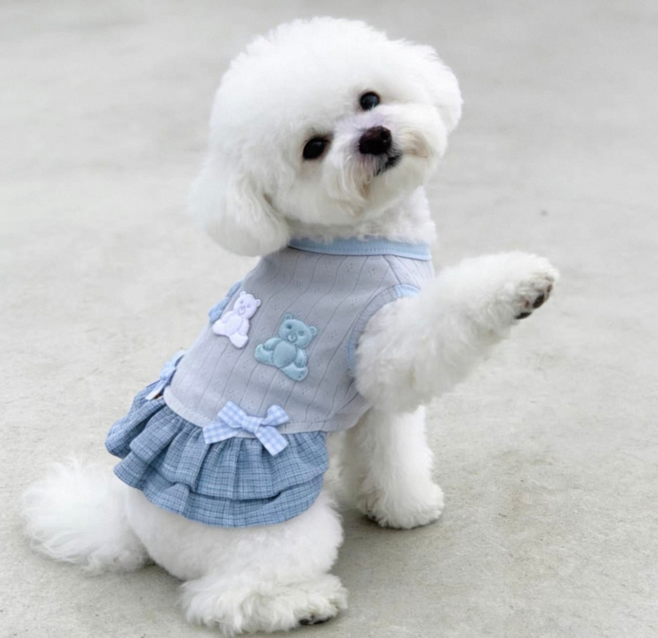 くまちゃんフリルワンピース｜犬のワンピース | Luck With Dogs｜犬の 