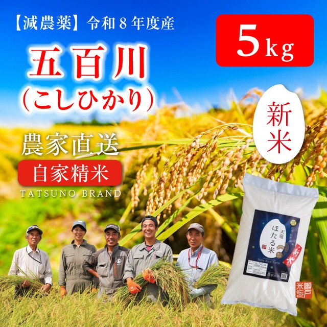 R8年度 新米［減農薬］五百川 こしひかり　5kg　　甘味と強い粘りが特徴で冷めても美味しい極早生の品種