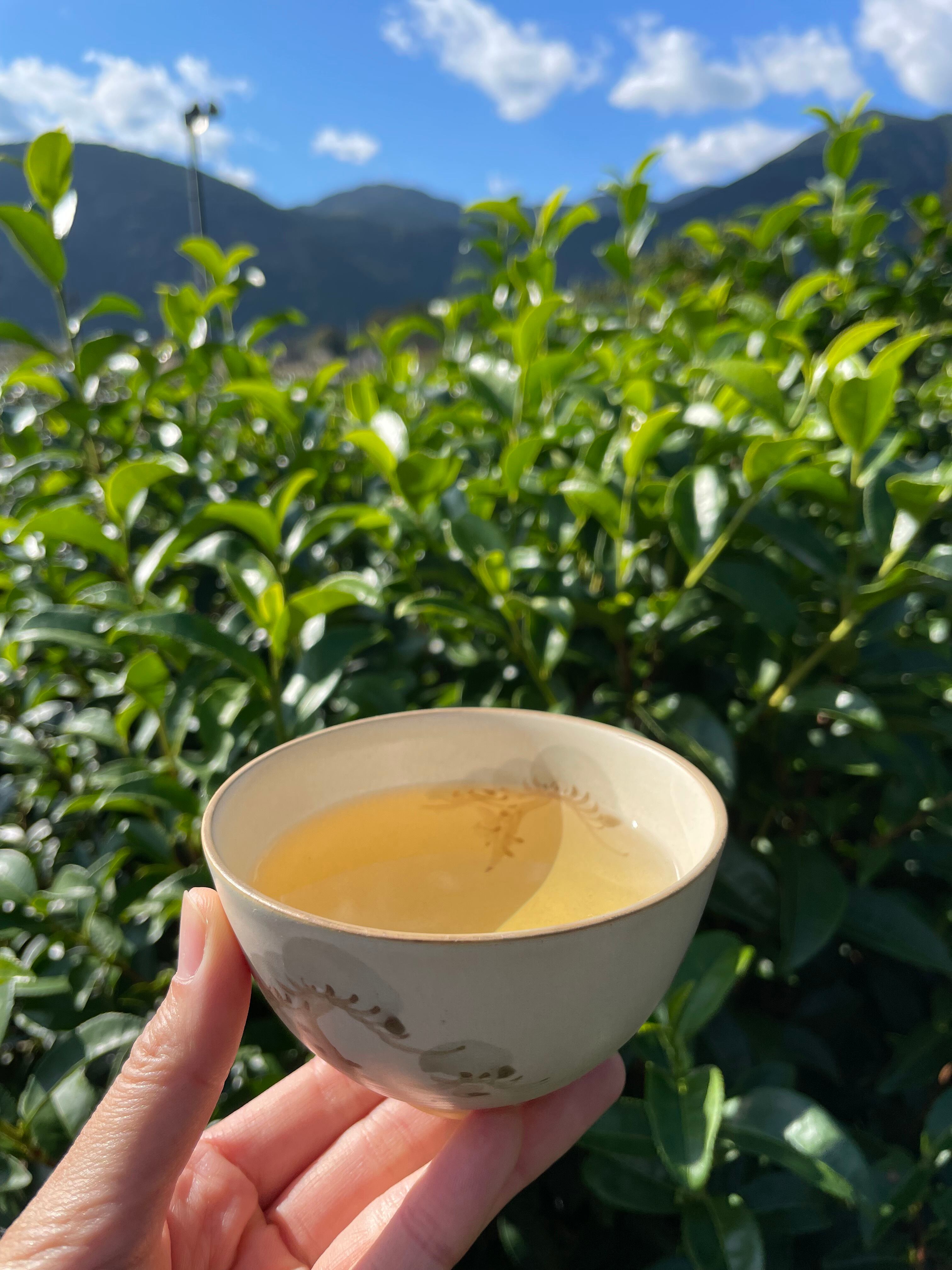 かまののみちゃ 60g | 鈴木茶苑