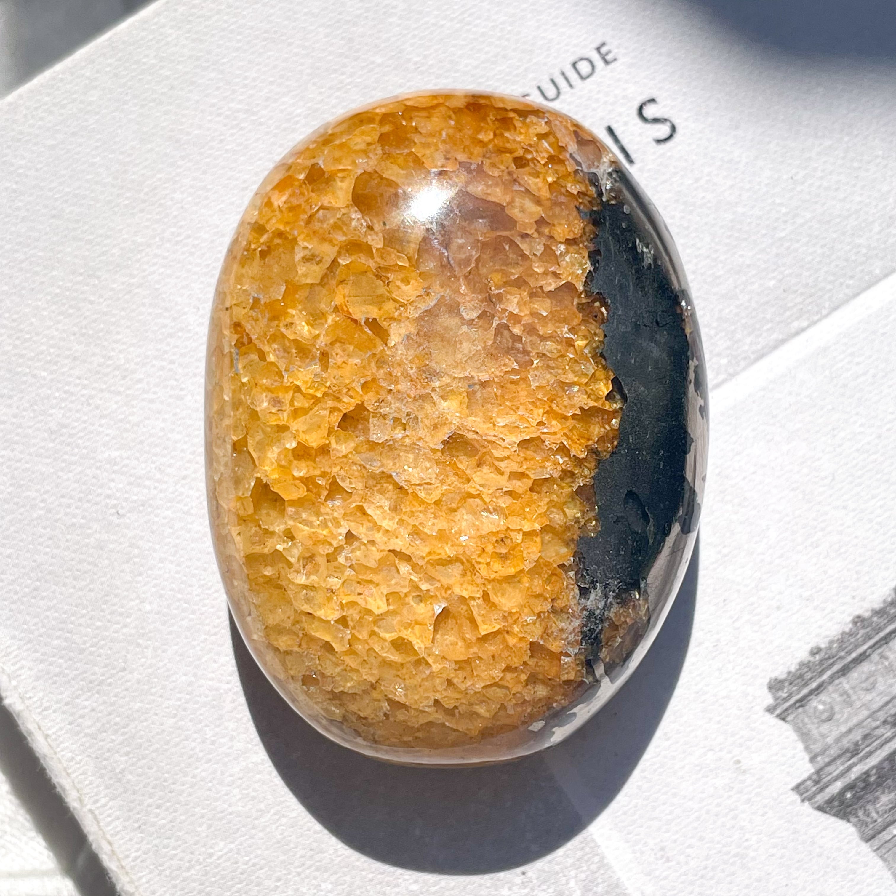 Golden Healer & Pyrite Palm 4 ✧ ゴールデンヒーラー&パイライト