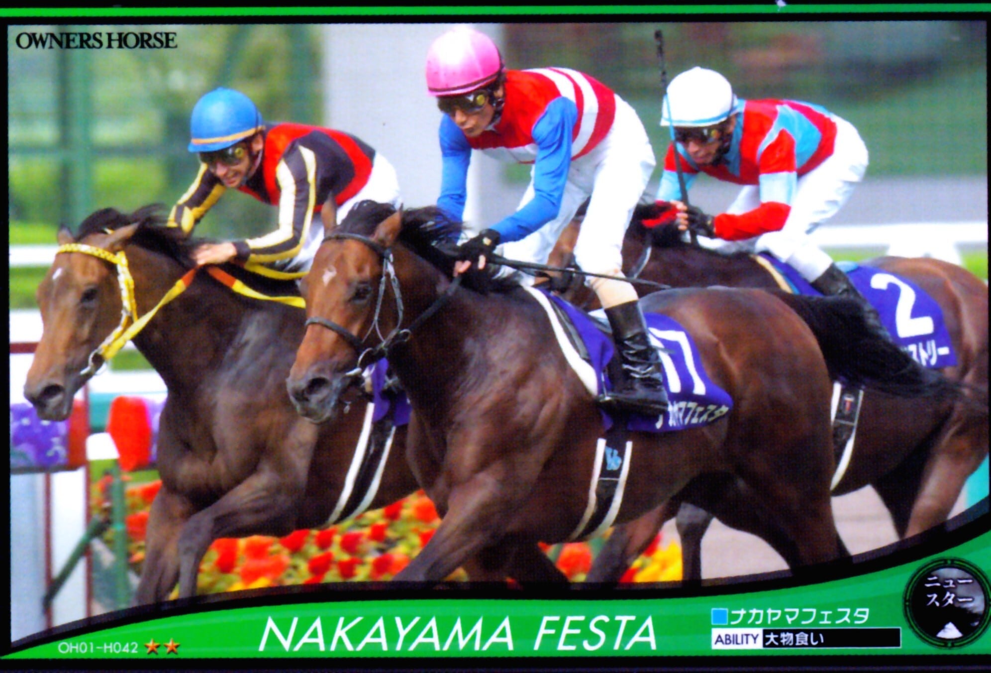 オーナーズホース | カードショップ うるま屋